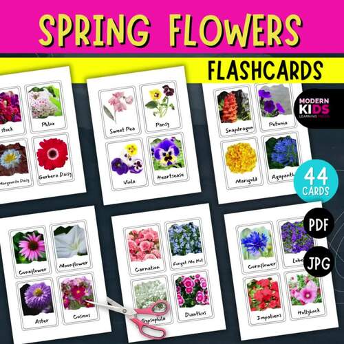 Printable Spring Flowers Flashcards by ModernKids LearningPress | TPT