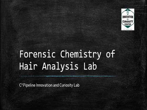 Preview of Hair Analysis Lab Bundle