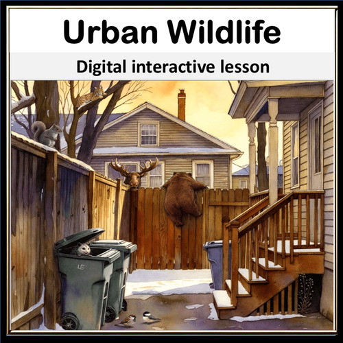 Preview of Urban Wildlife Adaptations Interactive Lesson City Ecosystems
