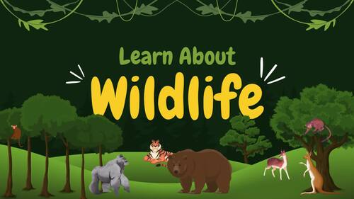 Preview of Learn The Wildlife!