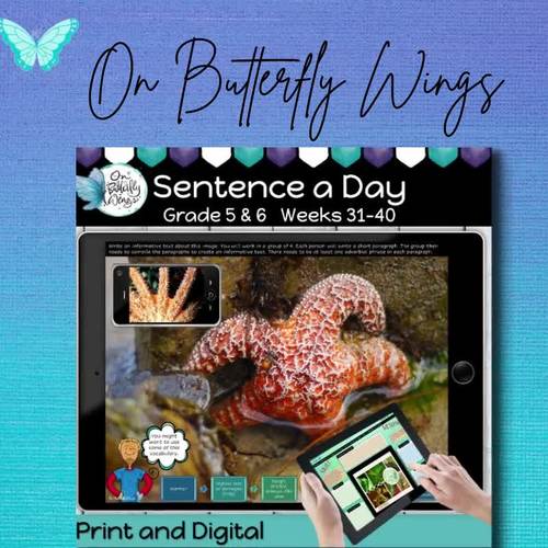 Sentence Writing Grades 5 & 6 term 4 by On Butterfly Wings | TPT