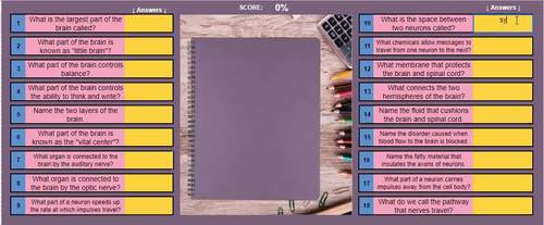 Central Nervous System Sticker Reveal by Abaco Education Zone | TpT