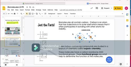 Biomolecules Activity. Digital and PDF. by The Learning Hypothesis Store