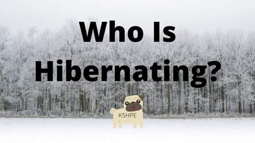 Preview of Hibernation, Animals, Winter, Vocabulary, Early Literacy, Video/Ebook