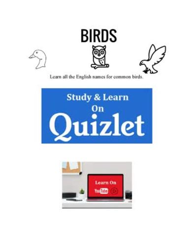 Types of Birds - Vocabulary Worksheets. ESL. EFL. Flashcards ...