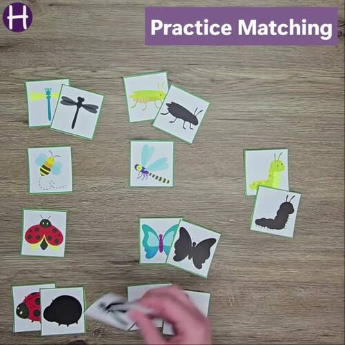 Bug Shadow Match Game by HH Fun and Learning | TPT