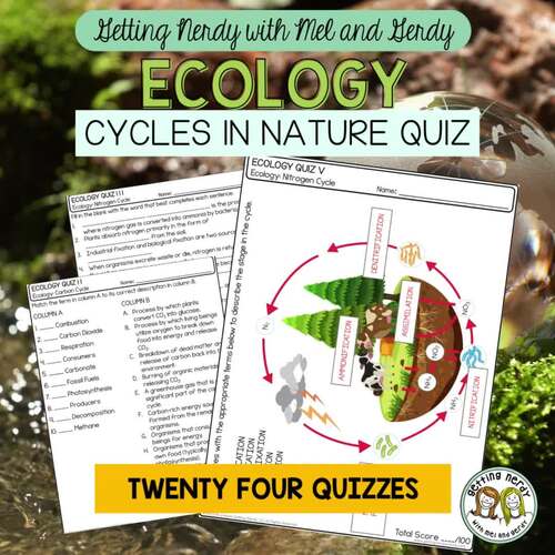 Ecology - Biogeochemical Cycles in Nature Quiz Bundle - Water, Nitrogen ...