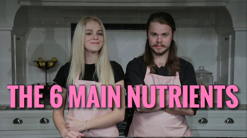 Preview of 6 Main Nutrients Video