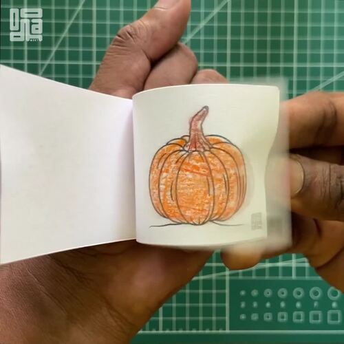 Life Cycle of a Pumpkin Science Activity Flipbook with Printable ...