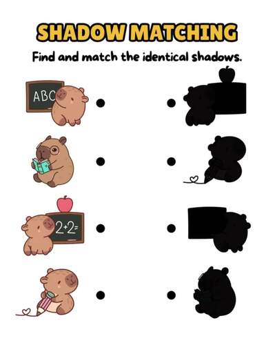 Capybara first dayShadow matching Montessori printable Worksheets back ...