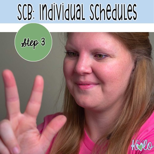 Preview of Step 3: Individual Schedules for Self Contained Basics Course