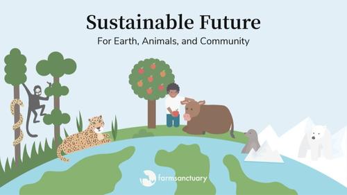 Preview of Sustainable Future: For Earth, Animals, & Community (video + worksheet)