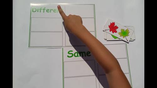 Fall Leaves Speech Therapy Activity Same and Different Sorting Autism ...