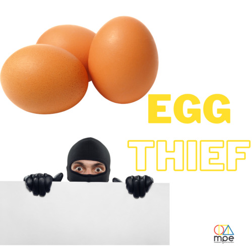 Preview of Egg Thief Video
