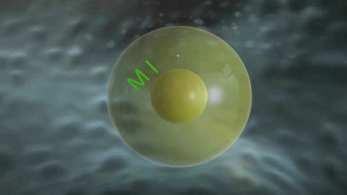 Preview of Mitosis -High Quality 3D animated video for Blended & Online learning instructio