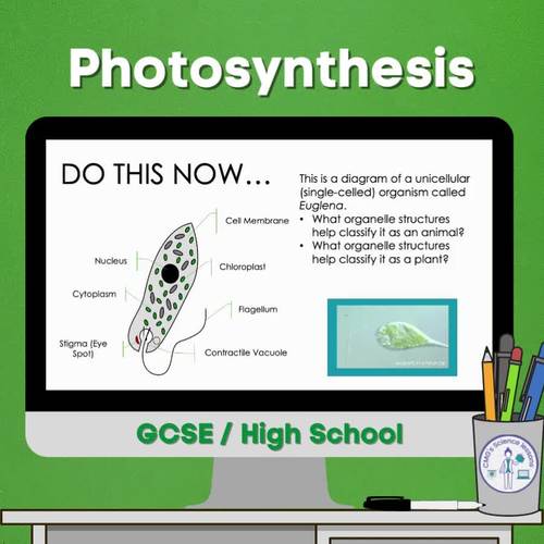 Photosynthesis (GCSE) By CMGs Science Lessons | TPT