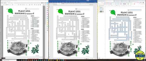 Plant Cell Crossword With Diagram Printable Distance Learning Options