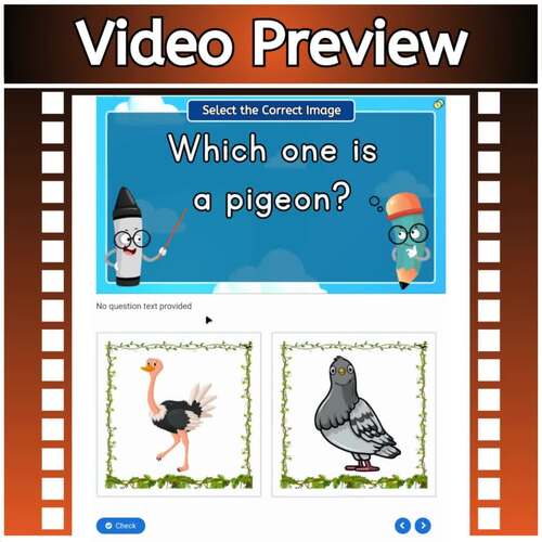 Correct Image: Birds Digital Resources Vocabulary Building by Schooler ...