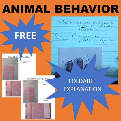 Preview of Animal Behavior Foldables VIDEO