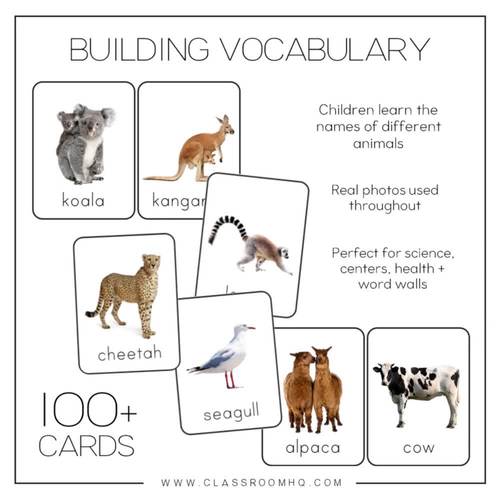 Animal Photo Picture Flashcards by classroomHQ TPT