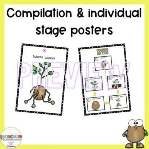 potato-growing-pictures by teachnchatter | TPT