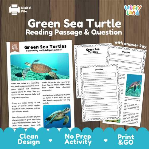 Green Sea Turtle Reading Passage and Questions Nonfiction Worksheets