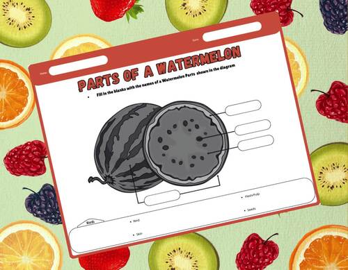 Watermelon Anatomy Diagram:Parts of a Watermelon Worksheets,Labeling ...