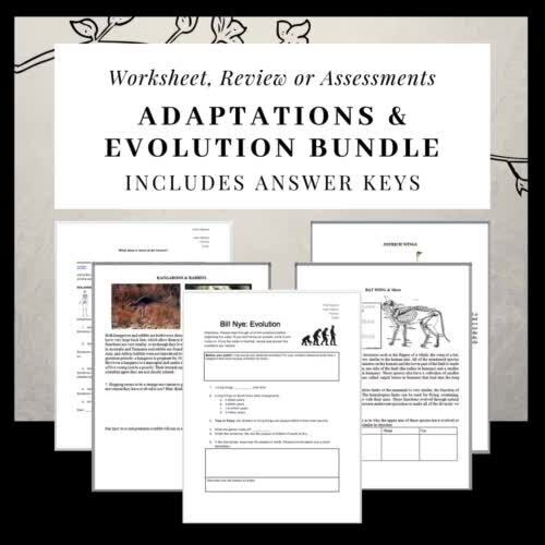 Adaptations & Evolution Bundle: Editable Assessments or Sub Plans