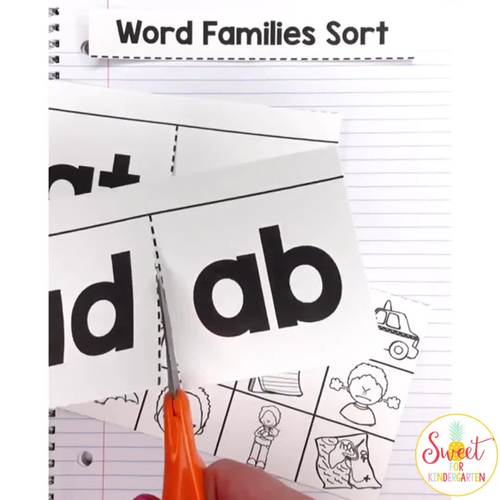 Phonics Interactive Notebook Spelling CVC Words and Word Families