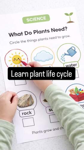 The Tiny Seed STEAM Activities | Preschool Plant Science Math Art hands ...