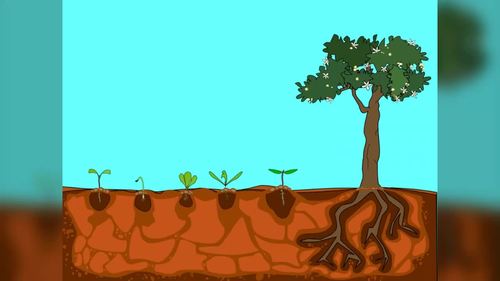 Growing Garden Plants Animated Clip Art GIFs by Gameska Clipart TpT