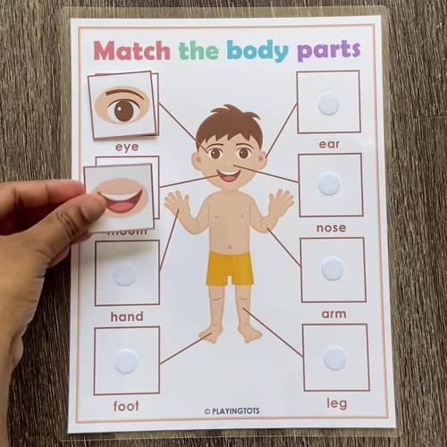 Body Parts Matching Activity Busy Book Learning Binder Toddler Quiet