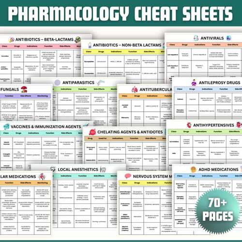 Pharmacology Cheat Sheet Bundle | Nursing Drug Worksheets & Notes PDF