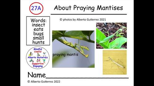 About Praying Mantises #27A: For Computer Reading by ALBERTO GUTIERREZ