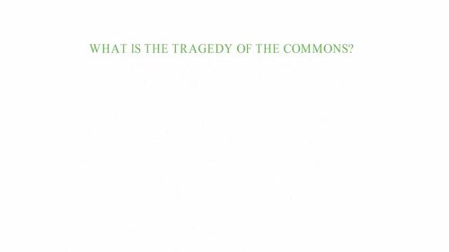 Tragedy Of The Commons Worksheets