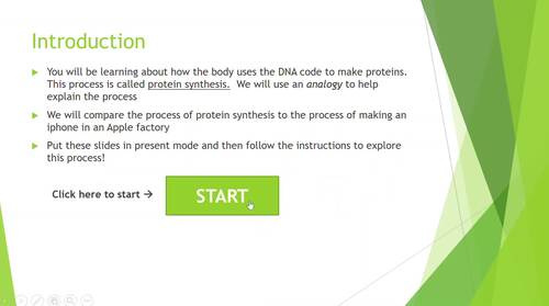 Protein Synthesis Interactive Exploration by Growing New Scientists