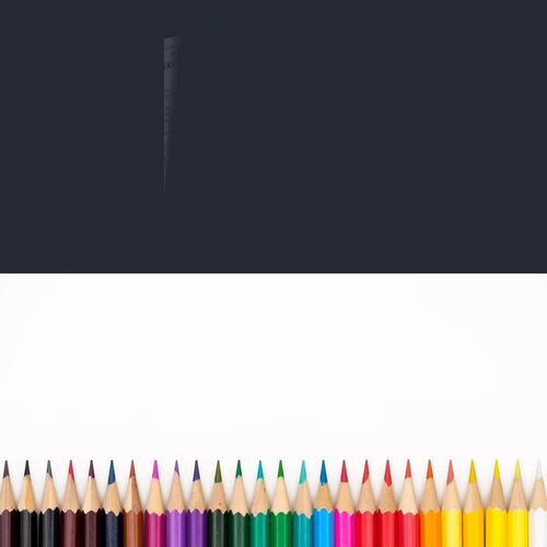 Biomolecules Macromolecules Color by Number Biology Review Worksheet