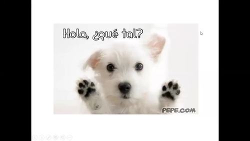 Spanish Introductory Expressions Video Note Bundle
