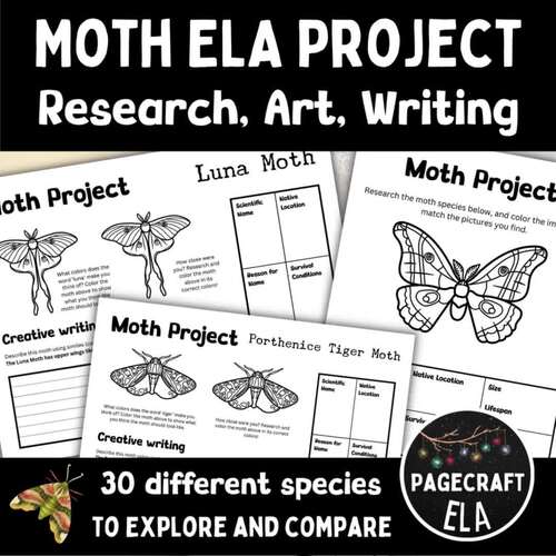 Moth Project with Research, Coloring & Creative Writing for 30 Unique ...