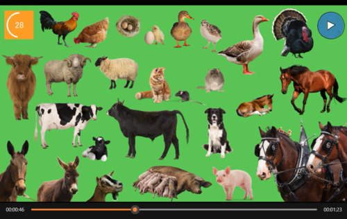 Preview of Farm Animals Memory Game Video
