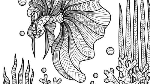 Adult Coloring Books - Animals, Geometric Shapes with Mandala Designs