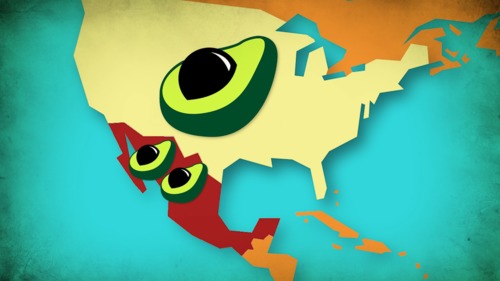 Preview of Why Does the U.S. Buy Avocados From Mexico ?