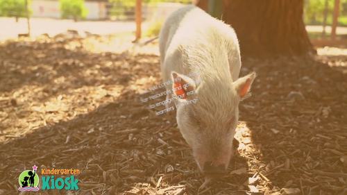 Writing Center Activities and Worksheets Three Little Pigs