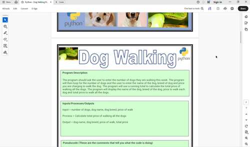 Python Programming Dog Walking Project Text Based Coding 8th to 12th Grade