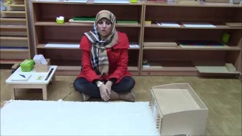 Preview of Montessori Introduction to Geometry and Geometric cabinet