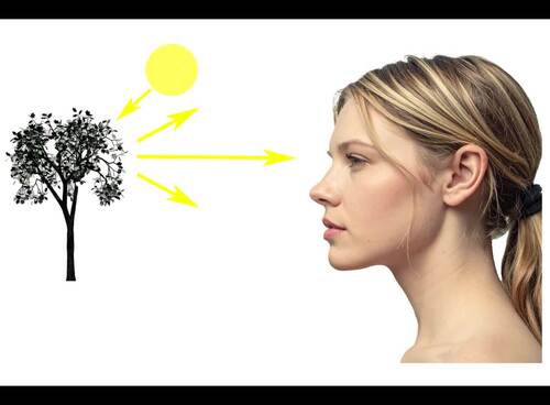 Preview of How the lens of the eye creates an image