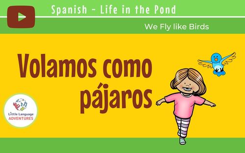 Preview of Spanish Instructional Videos ~ Let's Fly Like Birds