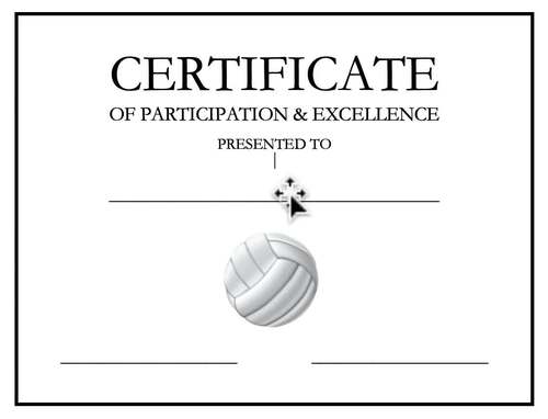 Volleyball Award Certificate Editable by Jim #39 s Health and PE Resources