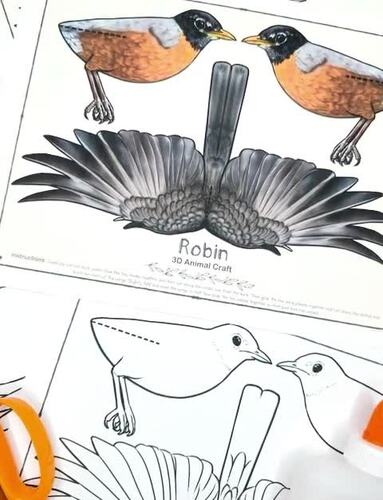 【ラッピング不可】 Paper 3D | Robin Bird| by Robins | Craft Animal Printable 絵画
