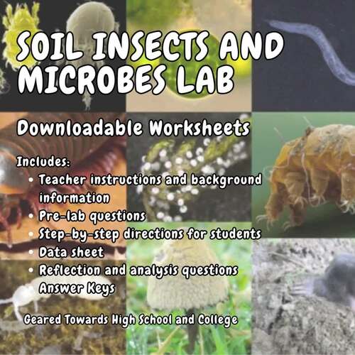 Soil Insects & Microbes Lab – Living Soil Ecosystems Investigation